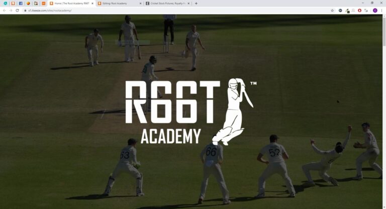 Root Academy – Website Design Case Study – it’seeze